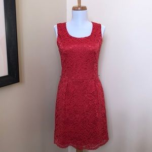 Suzy Shier Red Lace Dress (medium)